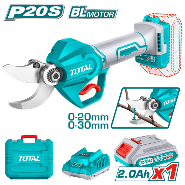 TSSLI203083